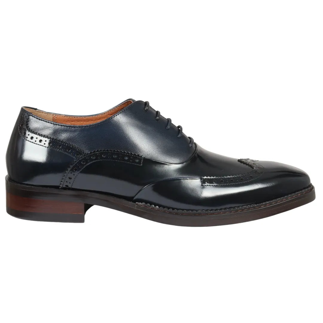 Harry - Moški temno modri lakirani čevlji brogue