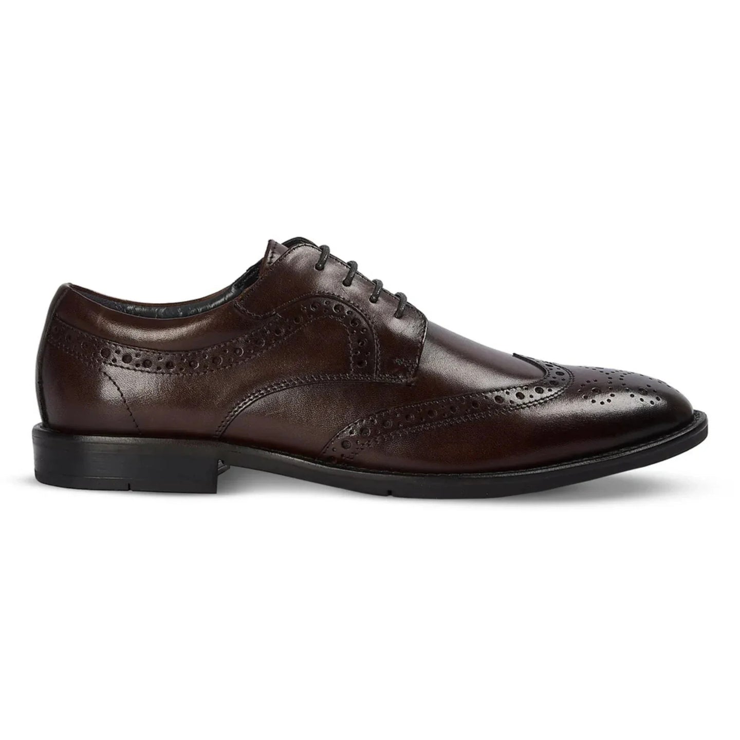 Cambridge - Moški temno rjavi derby čevlji Wingtip Brogue