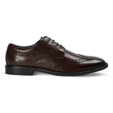 Cambridge - Moški temno rjavi derby čevlji Wingtip Brogue