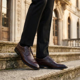 Cambridge - Moški temno rjavi derby čevlji Wingtip Brogue