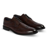 Cambridge - Moški temno rjavi derby čevlji Wingtip Brogue