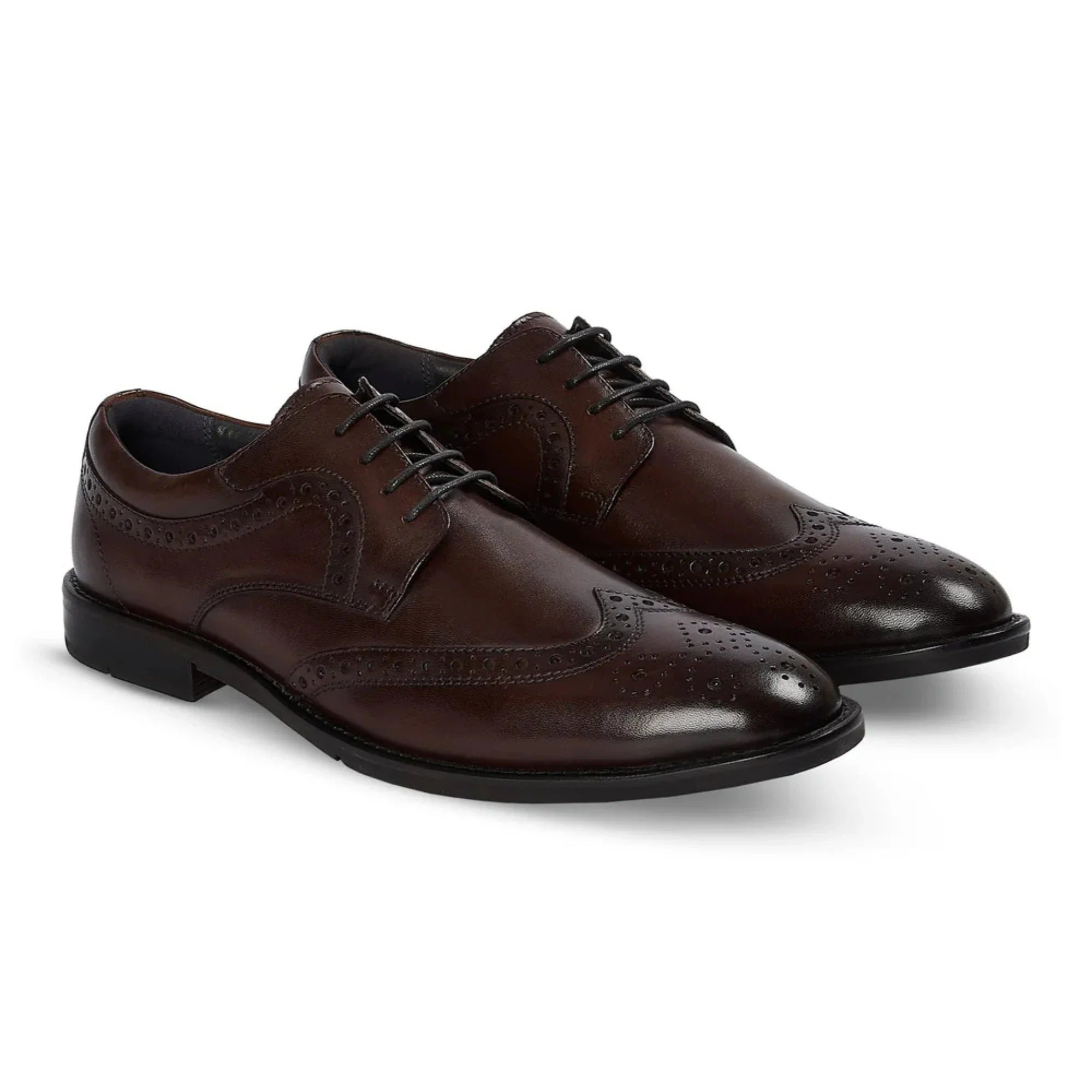 Cambridge - Moški temno rjavi derby čevlji Wingtip Brogue