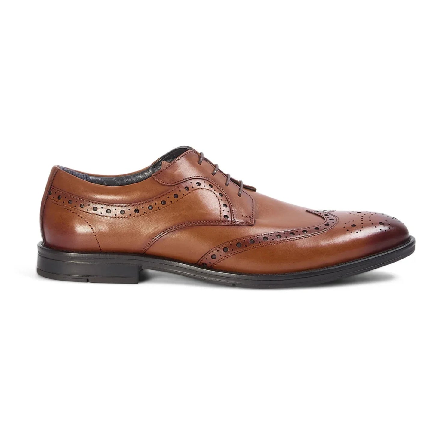 Cambridge - Moški rjavi derby čevlji Wingtip Brogue