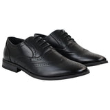 Moški črni čevlji brogues