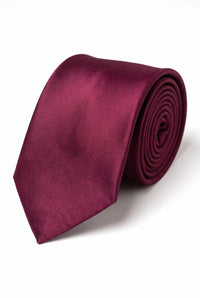 Moški bordo komplet kravat