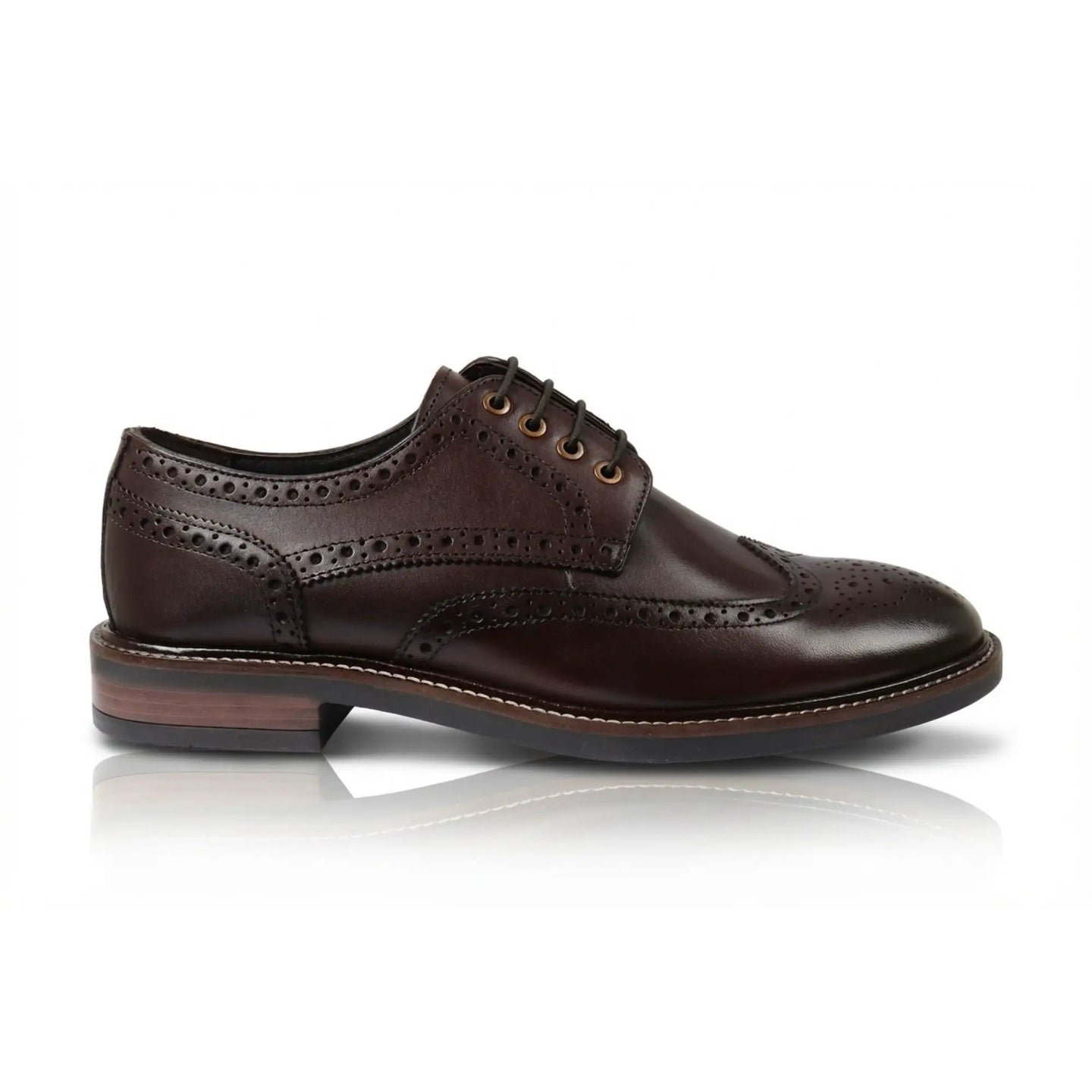 Stokes - Moški rjavi usnjeni čevlji z vezalkami Wingtip Brogue