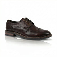 Stokes - Moški rjavi usnjeni čevlji z vezalkami Wingtip Brogue