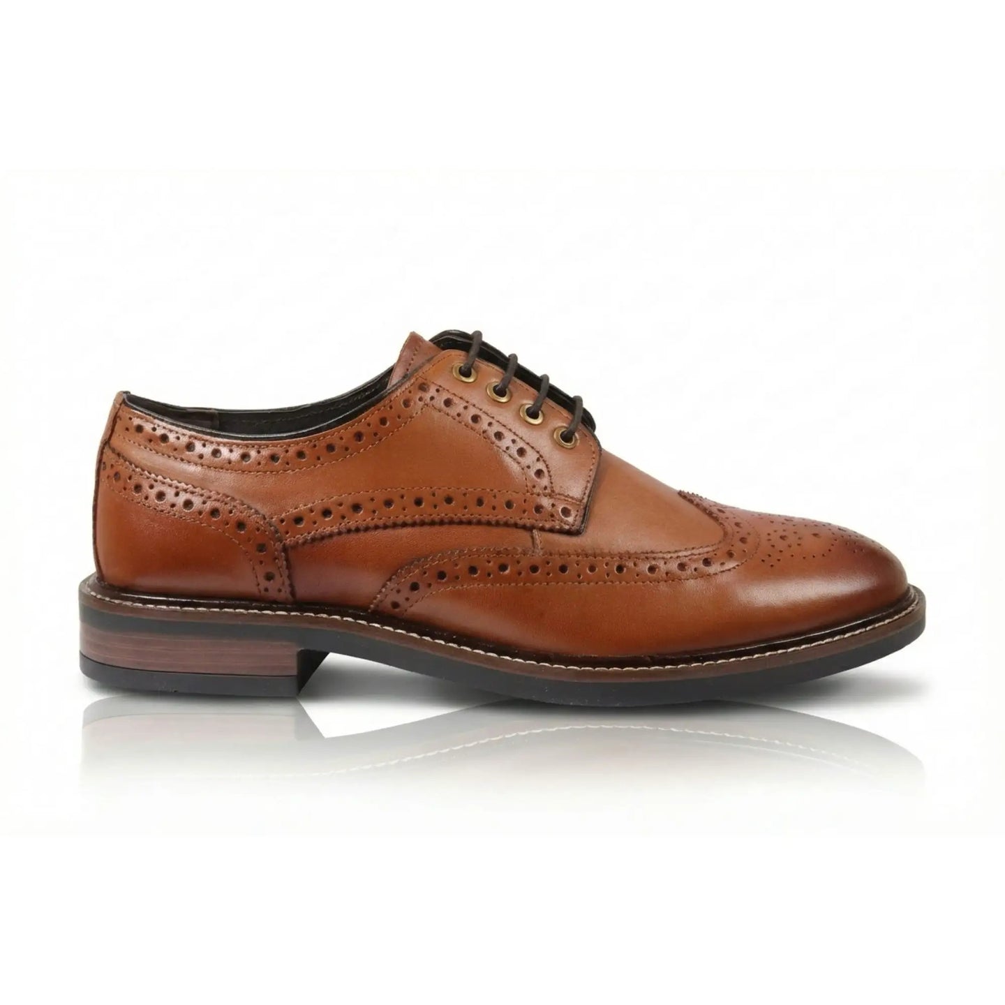 Stokes - Moški rjavi usnjeni čevlji z vezalkami Wingtip Brogue